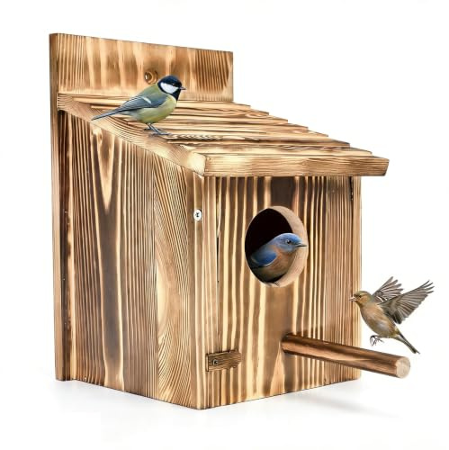 Puniama Bird House 15x15x22 Large Wooden Bird Box, Outdoor Hanging Birdhouse with Detachable Perch for Small Wild Birds, Robin and Sparrow Nesting Box for Garden