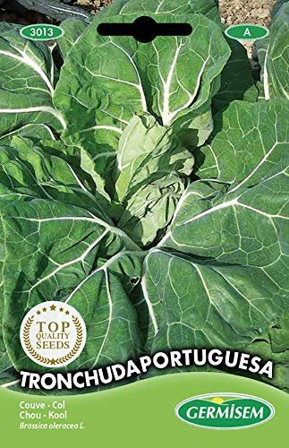 Germisem graines Chou TRONCHUDA PORTUGUESA