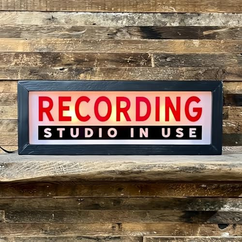 Recording RGB LED Neon Lightbox Dimmable Wall Mountable Pulsing Studio Warning Sign Illuminated Lights Sign for Cinema Libraries Cafes Home Company Desk Wall Decor USB Powered