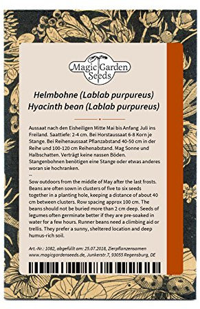 Pois antaque (Lablab purpureus) env. 10 semences