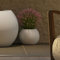 newgarden - Macetero Redondo para Flores y Plantas Dalia Muy Resistente al Exterior Tamaños Disponibles. Incluye Reserva y Drenaje de Agua. Hecho de Polietileno en España