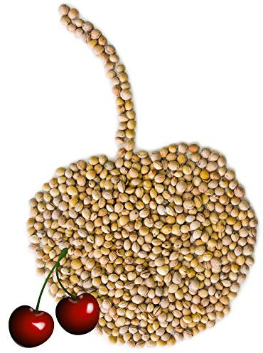 Kirschkerne lose für Wärmekissen 1-30 kg Kirschkernkissen Kissen Waermekissen Baby Füllung Körnerkissen Kerne Koernerkissen Füllmaterial Kirschkern Auswahl Petigi, Menge:2 kg (7.42EUR/kg)