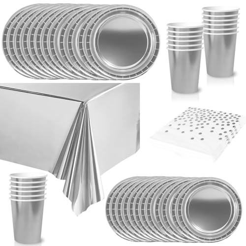 65 Pezzi Set Stoviglie per Feste Argento Foil,Piatti Tazze Asciugamani di Carta Tovaglia Plastica Stoviglie Monouso Biodegradabili,Decorazione Desktop per Feste di Compleanno,Picnic,Baby Shower