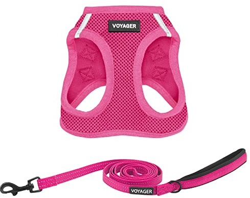 Best Pet Supplies Voyager Step-in Air All Weather Mesh Harness and Reflective Dog 5ft Leash Combo with Neoprene Handle, for Small, Medium and Large Breed Puppies - Set (Fuchsia), Medium