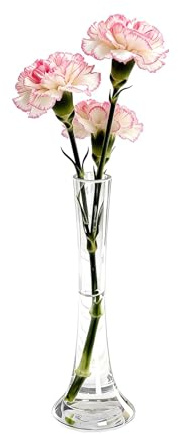Jarrón de vidrio soplado a mano transparente de 25 cm de alto, cuello estrecho, jarrón floral de boca pequeña, jarrones florales decorativos para centros de mesa de boda, fiesta, decoración del hogar