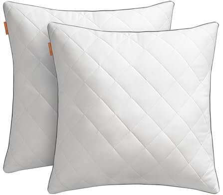 SONGMICS HOME Oreillers, Lot de 2, Double Face, 60 x 60 cm, Housse Douce et Rafraîchissante, Garnissage 650 g, Hiver Été, Coussin, Lavage et Séchage en Machine à Moins 60 °C, Blanc Nuage TBP025W01
