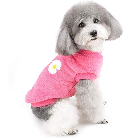 ZUNEA Kleiner Hundepullover für den Winter, warme Fleecejacke, Mantel, Welpenkleidung, weicher, bequemer Samtpullover, Haustierpullover, Bekleidung, Weihnachten, Chihuahua, Kleidung für Hunde,