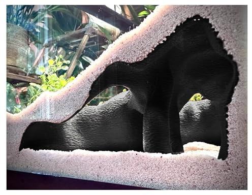 Aquarium & Terrarium Corner Underground Cave – Faux Mangrove Root Hideout for Betta, Corydoras, Shrimp, Geckos & Snakes – Natural-Look Tank Decor in Textured Root Style (Charcoal, 7.5 x7.5''x4)