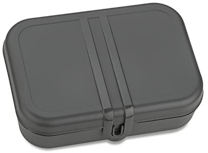PASCAL L Lunchbox mit Trennsteg nature ash grey
