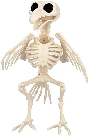 Boland 72406 - Scheletro per uccelli, dimensioni 20 cm, bocca mobile, finta in plastica, decorazione per Halloween, Carnevale o festa a tema