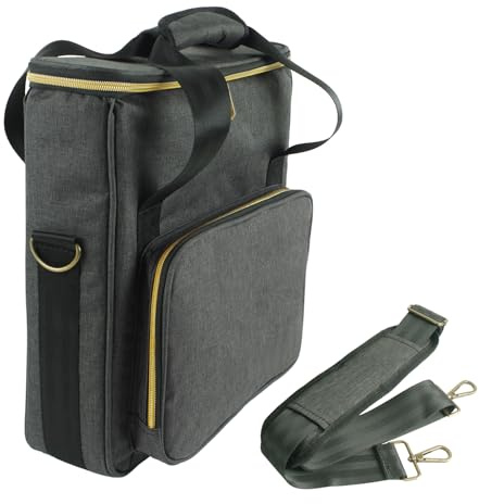 Hsyzygian Estuche de almacenamiento de discos de vinilo, bolsa de almacenamiento de viaje, a prueba de polvo, portátil, accesorios de instrumentos, compactos, vinilos, discos de viaje