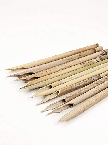 Forum Traiani Kalligraphie Stifte, Schreibrohr Schilf, 10er Set, Kalligrafie Feder, calamus