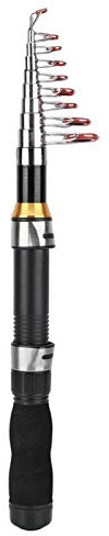 Mini Taschen Angelrute Pen Angelrute für Seefischerei Salzwasser Süßwasserfischen(2.1m)