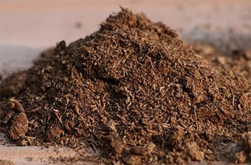 BIO TORBA BIONDA DI SFAGNO FONDO PER TERRARI confezione da 1,5 kg (2 confezioni da 1,5 Kg)
