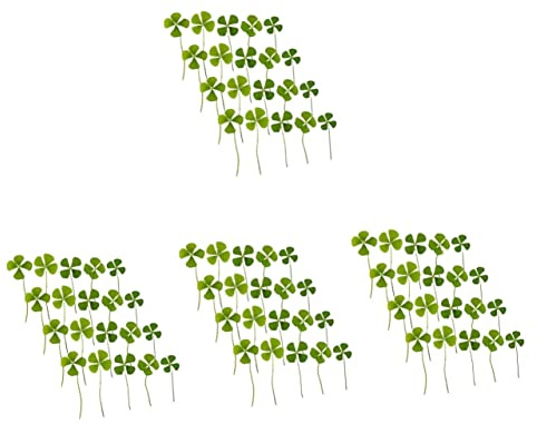 Amosfun 96 Pz Fiori Secchi Di Trifoglio Materiale Fogliare Essiccato Fai Da Te Ciondoli Foglie Di Carta Per L'artigianato Candele Che Fanno Foglie Pressate Fiore Pianta