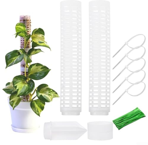 Solaughguy Juego de enrejado de varillas de musgo de plástico para plantas trepadoras, poste de soporte desmontable seccional con 20 bandas para plantas, ideal para monstera, filodendro e hiedra