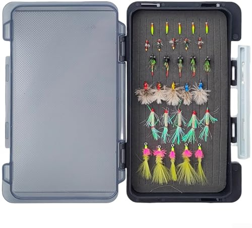 Set di esche da pesca a mosca, per pesca d'acqua dolce con esche ninfe bagnate asciutte, ganci in acciaio al carbonio, dimensioni da 1 a 18 #, custodia compatta da 174 x 104 x 20 mm (TZ00430)