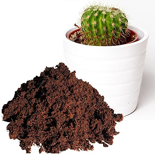 Cactus & Succulent Soil - 11 Litres Peat Free Cactus Potting Compost - PureGrow® Hydrate at Home