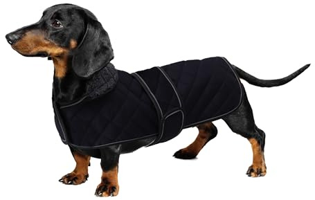Geyecete - Cappotto Invernale termico trapuntato per cane bassotto,con fodera in pile caldo, abbigliamento per cani da esterno con foro per Imbracatura,Giacca per cani piccola y media-Navy Blu-S
