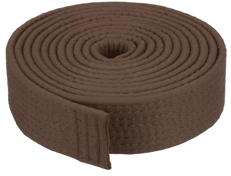 PATIKIL Taekwondo Colored Ranking Belt 1.6 x9.8Ft 3 m, Polyester Martial Arts Judo Karate Belt for Coach Teaching Practice, Brown
