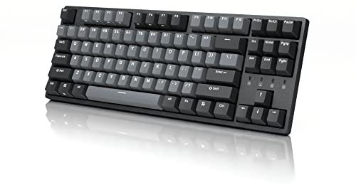 DURGOD Taurus K320 TKL Mechanical Keyboard | 87 Keys Tenkeyless | USB C Wired | Doubleshot PBT Keycaps | Programmable Keys | NKRO | Windows & Mac (Space Grey, Cherry Clear)
