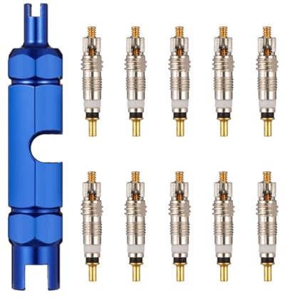 HUVZOR Kit di Sostituzione Nucleo Valvola, 10 Nuclei Valvola e 1 Strumenti di Rimozione, Valvola Mtb Valvole Tubeless, Nucleo Valvola Tubeless Mtb per Biciclette Tubeless, Strada e MTB