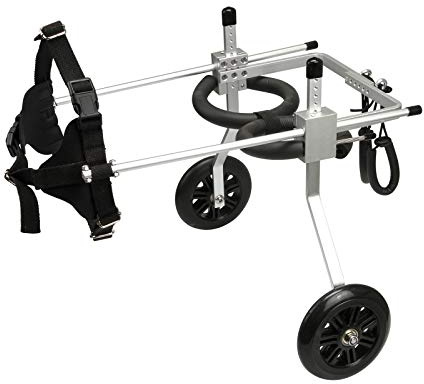 Anmas Box Sedia a rotelle regolabile a 2 ruote in acciaio inox per cani di piccola taglia, supporto riabilitazione zampe posteriori, aiuto mobilità cani anziani e disabili