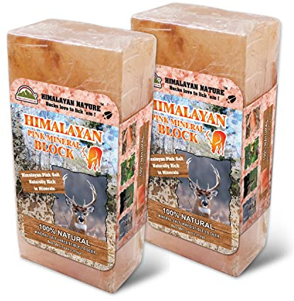 Himalayan Nature Licking Salt for Deer Block - Animal Licking Mineral Salt Block, Natural Feed Salt Rock for Horse, Deer & Animal, 10 Pound, 2 Counts