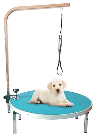 Table de Toilettage pour Chien 60 * 15cm, Rotation de 360 Table Toilettage Chien Professionnel, Bras de Peignage Réglable pour Chiens et Chats(Green)