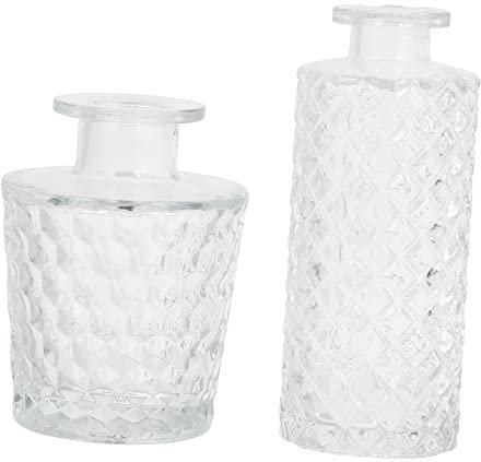 SOLUSTRE 2piezas De Transparente Diseño De y para Decoración del Jarrones para Flores y