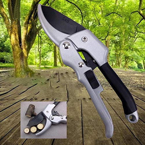 BOSUGE Tijeras de podar para jardín, Tijeras de podar, Herramientas de jardinería, Tijeras de podar manuales, 20 cm, Tijera de Mano para jardín, trinquete, Recorte de Planta, Herramienta para arbus