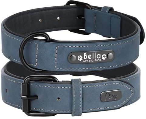 Didog Hundehalsband, weiches, gepolstertes, Leder, mit personalisierbarem, graviertem Namensschild, D-Ring. Für kleine und mittelgroße Hunde geeignet.