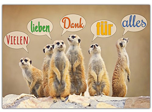 A4 XXL Dankeskarte ERDMÄNNCHEN mit Umschlag - edle Klappkarte geeignet für viele Anlässe wie Geburtstag Hochzeit Jubiläum Danke Karte von BREITENWERK