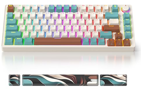 iRoboosta 75 % brunt mekaniskt gaming-tangentbord, kompakt 82 tangenter Hot Swappable, med knapp, RGB-bakgrundsbelyst OEM-profil, trådbundet USB-C-tangentbord med linjära brytare för Windows Mac