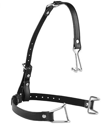 ZITFHMOW Bocca Bavaglio BDSM Spina Bocca Femminile Schiavo Dilatatore Della Bocca In Acciaio Inox Clip Plug Coppia Sex Toys Bocca Aperta Bavaglio Imbracatura Plug