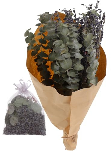 TOYZFRIENDY Bouquet de Seco con Saquito Aromático Eucalipto Preservadas Decoración Colgante para Ducha y Ambientación Baños