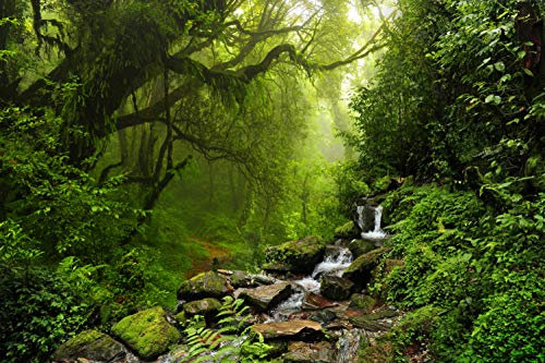 WALD Fototapete VLIES-450x280 cm (1047A)-Natur Landschaft See Bäume Wasserfall Dschungel Wandtapete-Inkl. Kleister-Vliestapete Bild Dekoration Wand-Dekor Moderne Motiv-Tapete Panorama Poster XXL