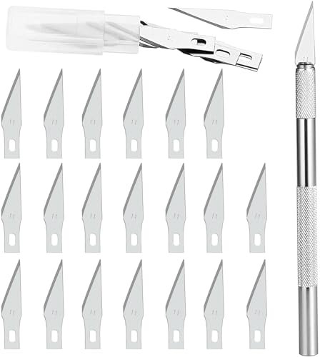 GOLDGE Précision Cutter 1 Scalpel avec 20 lames, Cutter de Précision Couteau pour Découpe de Travail d'art Bricolage, Spéléologie, Sculpture, Diy Sculpture Couteaux de Loisirs