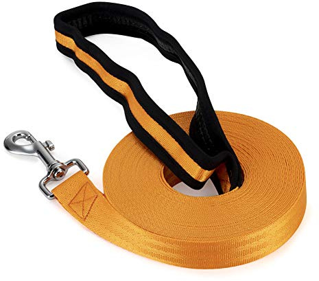 Vivifying Dog Training Lead - 32ft/10m Nylon Training Leash | with Padded Handle, Perfect for Daily Walks and Obedience Training