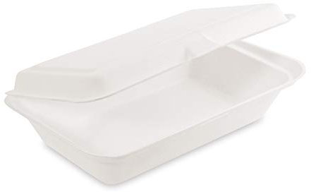 50x Bio Take Away Box weiß 250 x 162 x 63 mm aus Zuckerrohr | nachhaltige To Go Lunchbox Essensbox mit Deckel | Lebensmittel Behälter Einweg | kompostierbar auslaufsicher