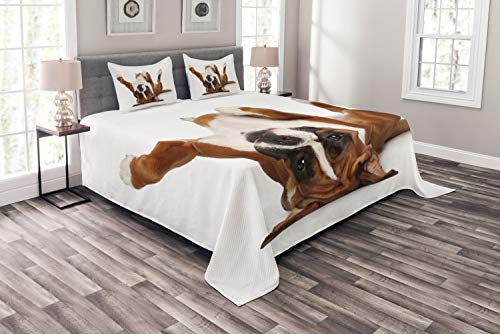 ABAKUHAUS Boxer-Hund Tagesdecke Set, Lustige Playful Puppy Bild, Set mit Kissenbezügen Sommerdecke, für Doppelbetten 220 x 220 cm, Pale Caramel Dark Brown Off White
