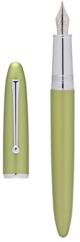 Hongdian 620 Pluma estilográfica, punta extrafina iridio barril de color verde claro, instrumento de escritura suave con convertidor y juego de estuche de metal