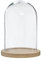 Atmosphera - Campana de Vidrio y Madera - Transparente - H26 cm