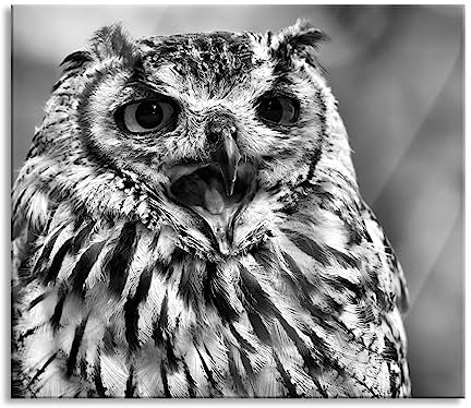 Grande plaque de recouvrement de plaque de cuisson et protection anti-éclaboussures en verre véritable - Pour plaques de cuisson - 60 x 52 cm