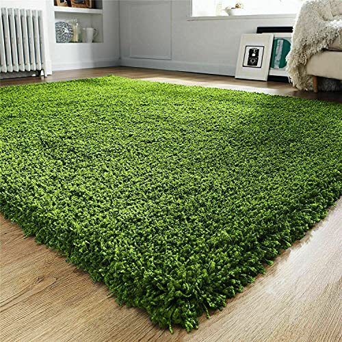 Prime Plus Modern Extra Thick Shaggy Rug Large Area Rugs Soft Rugs Living Room Bedroom Carpets Floor Mat (Green, 60 x 110cm)