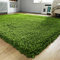 Prime Plus Modern Extra Thick Shaggy Rug Large Area Rugs Soft Rugs Living Room Bedroom Carpets Floor Mat (Green, 60 x 110cm)