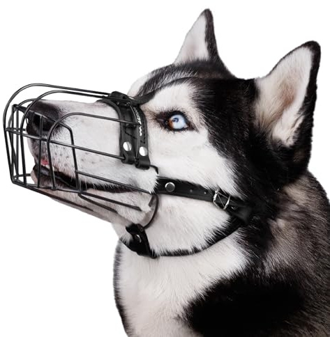 BRONZEDOG Museau Chien Réglable en Fil Métallique Durable pour Grands Chiens, Sangles en Cuir, Respirant, Permet de Boire, Entraînement, Empêche Les Morsures (Husky & Doberman, PVC)
