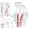 Electric Lady Shavers for Women, Rechargeable All-in-1 Bikini Pubic Hair Trimmer & Facial Hair Remover for Women with LED Battery Display, IPX6 Wet and Dry, Electric Ladies Razor for Body, Face, Nose