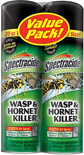 Spectracide Wasp and Hornet Killer Aerosol, 18.5 Ounce, 2-Pack