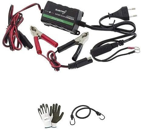 COMPATIBILE CON HARLEY-DAVIDSON SPORTSTER 1200 ROADSTER CARICA BATTERIA MANTENITORE DI CARICA AUTOMATICO PER MOTO SCOOTER AUTO CAMPER QUAD JET SKI 6/12V-0.75-1.25A ACIDO,AGM,GEL,MF,WET,UNIVERSALE